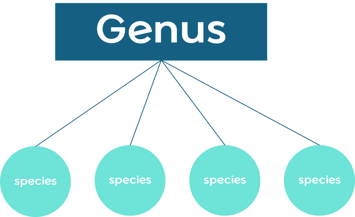 Genus vs. Species: Patentability Assessment Strategy