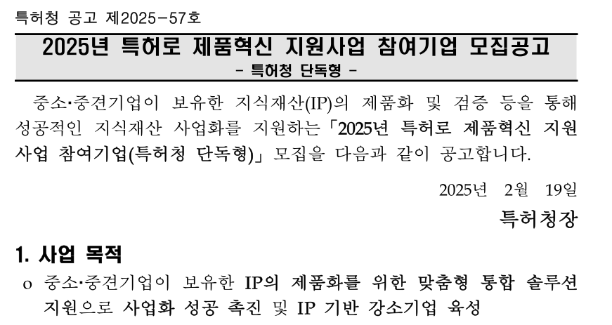 정부지원사업에서 특허(IP)가 진짜 돈이 되는 구조